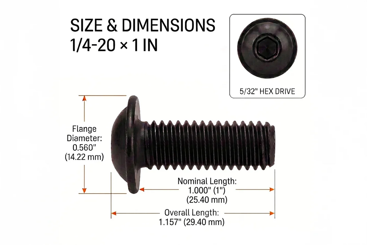 1/4-20 Flanged Button Head Socket Screws - Black 316 Stainless Steel (26-Pack, 5 Lengths: 3/8 in to 1 in)