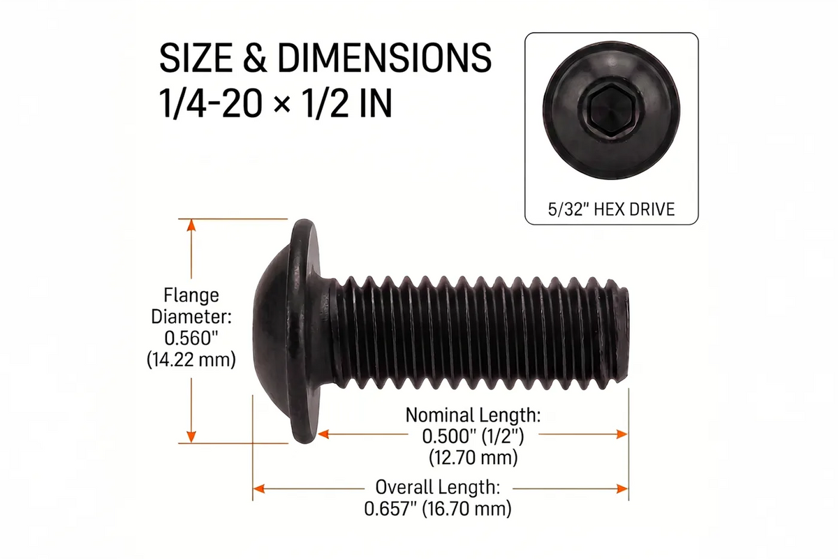 1/4-20 Flanged Button Head Socket Screws - Black 316 Stainless Steel (26-Pack, 5 Lengths: 3/8 in to 1 in)
