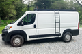 Promaster Stealth+ Side Ladder (Low Roof)